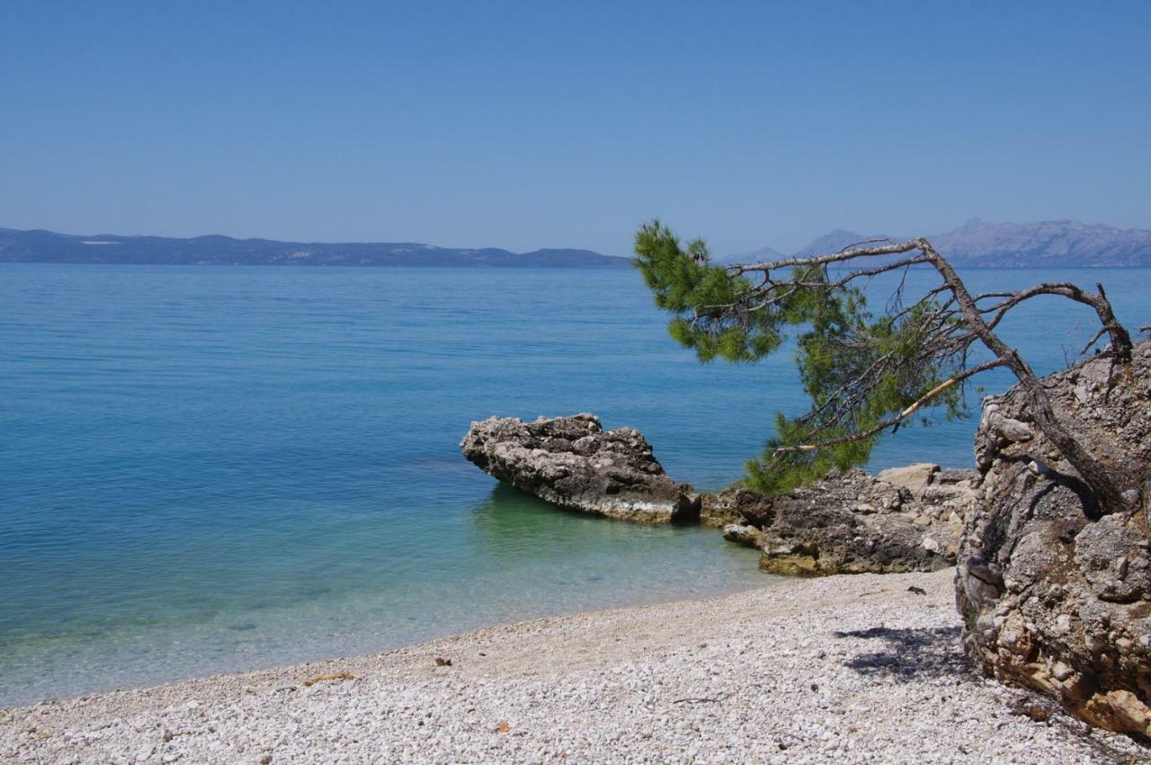 Apartments Sonja Podgora Εξωτερικό φωτογραφία